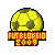 Liga de Futblokeio 2009