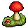 Amanita Muscaria