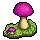 Cortinarius Violaceus