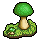 Amanita Phalloides