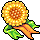 Medalha Folheada