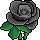 Rosa Negra