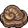 Molusco Fossilizado
