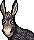 Burrinho