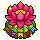 Arraial Flor do Cacto