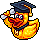 Patinho Graduado