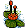 Flores Flutuantes
