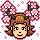 Pack Sakura