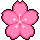 Flor de Cerejeira