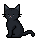 Gatinho Apaixonado