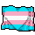 Orgulho Trans