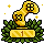 Pathfinder Race - 1 lugar