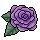 Rosa Roxa