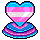 Orgulho Trans