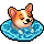 Nado Cachorrinho
