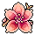 Flor Divina