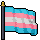 Bandeira Trans