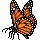 Borboleta Monarca