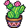 Cacto Florido