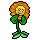 Cactônio Spinoza