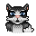Kitty Pata Leve