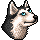 Lupin