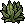 Planta da Selva