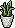 Plantinha do Chalé