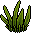 Planta Aurora