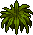 Planta Decorativa
