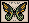 Pintura Mariposa Oriental