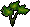 Planta Ornamental