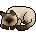 Gato Sonolento
