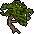 Bonsai Ornamental
