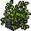 Plantinha Frondosa
