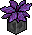 Plantinha Florescente
