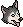 Husky Siberiano