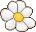 Almofada de Margarida