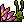 Caracol  Aquático