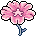 Flor Estrelar