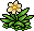 Flor Verdejante