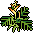 Planta da Selva
