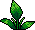 Planta de Vaso