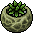 Plantinha Boho