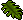 Planta Decorativa