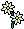Flores da Fazenda
