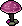 Cogumelo Florescente