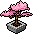 Bonsai Rosa