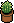 Mini Cacto