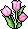 Tulipas